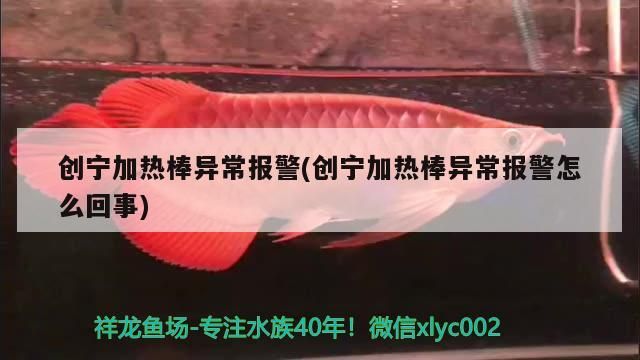 創(chuàng)寧加熱棒異常報警(創(chuàng)寧加熱棒異常報警怎么回事) 創(chuàng)寧加熱棒異常報警(創(chuàng)寧加熱棒異常報警怎么回事) 創(chuàng)寧水族