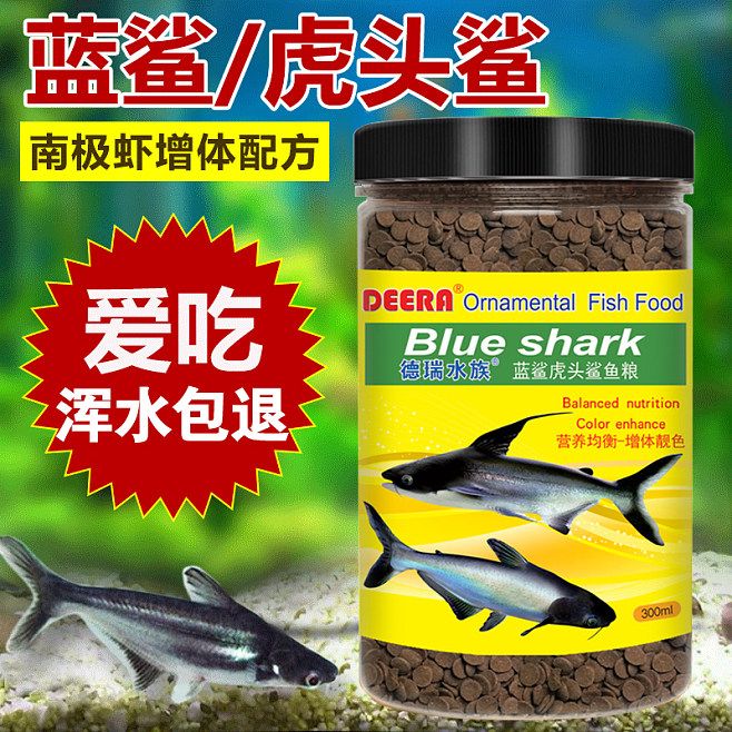 龍魚苗一年長多大正常呢：龍魚苗一年生長之探秘，正常尺度與成長奧秘