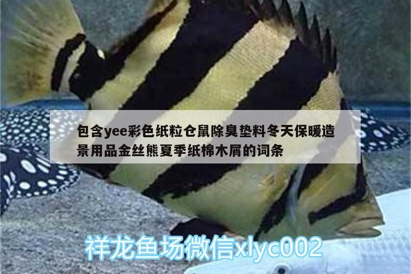 包含yee彩色紙粒倉鼠除臭墊料冬天保暖造景用品金絲熊夏季紙棉木屑的詞條