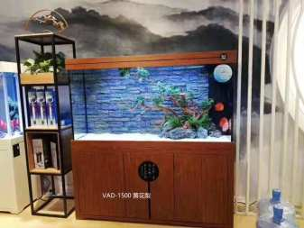造景魚缸和普通魚缸區別（造景魚缸和普通魚缸區別在哪）