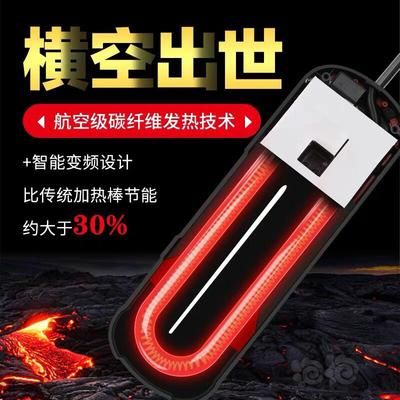 龍魚苗喂什么最好養殖視頻教程：探尋龍魚苗最佳喂養之道，養殖視頻中的奧秘與實踐