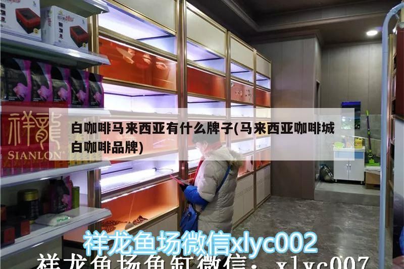 白咖啡馬來西亞有什么牌子(馬來西亞咖啡城白咖啡品牌)