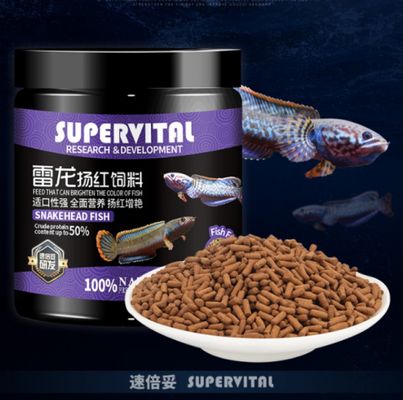 龍魚苗喂什么最好呢圖片欣賞大全：探尋龍魚苗最佳食物，圖片欣賞與喂養指南