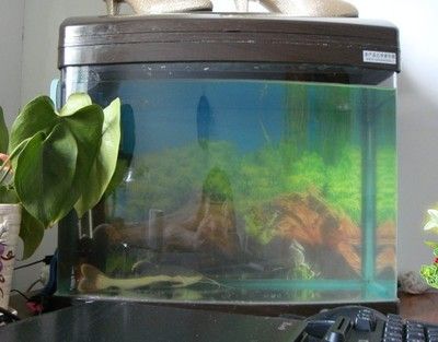 老魚匠造浪泵怎么調（老魚匠造浪泵怎么調搖頭浪）