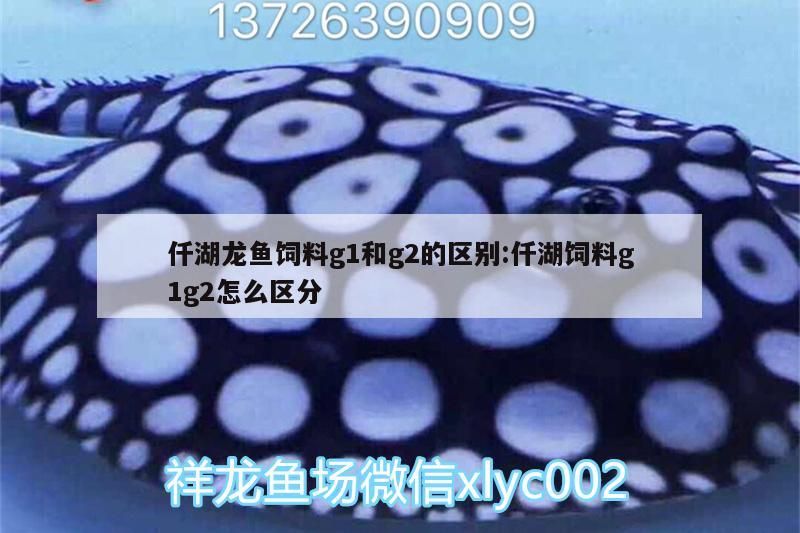 鸚鵡魚 仟湖龍魚飼料g1和g2的區別:仟湖飼料g1g2怎么區分 仟湖 仟湖龍魚飼料g1和g2的區別:仟湖飼料g1g2怎么區分 仟湖龍魚飼料g1和g2的區別:仟湖飼料g1g2怎么區分 仟湖