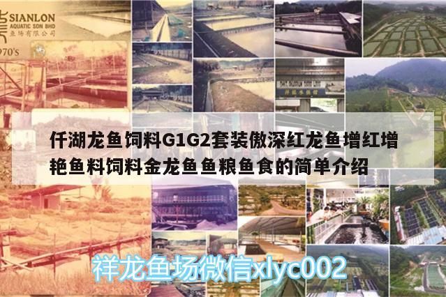 仟湖龍魚飼料G1G2套裝傲深紅龍魚增紅增艷魚料飼料金龍魚魚糧魚食的簡單介紹