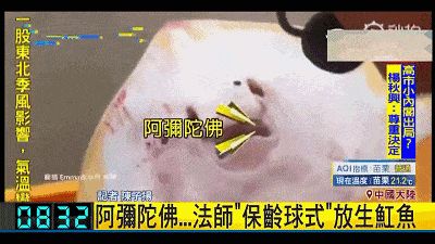 魟魚受傷：魟魚受傷后的處理方式