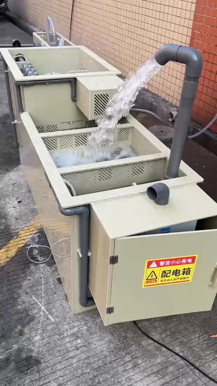 養好錦鯉過濾很關鍵