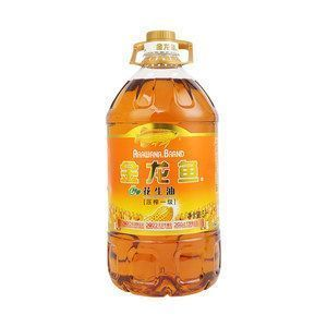 伊罕250國際版多少瓦（伊罕250容量）