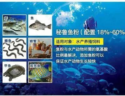 平度魚缸專賣店地址（平度魚缸專賣店地址電話）