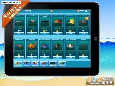 開個水族館破解版：關于水族館破解版的一些建議