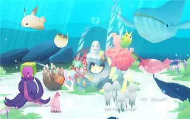開個水族館破解版：關于水族館破解版的一些建議