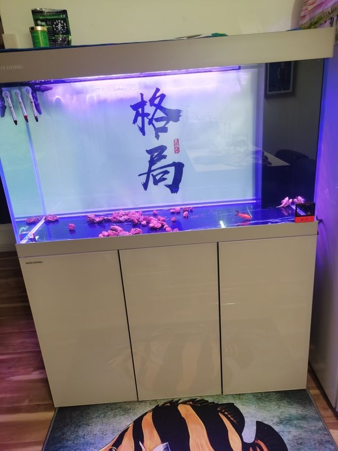 第七天雖然還沒達到預期，但終于開始變清澈！養水比養魚還需要耐心！ 第七天雖然還沒達到預期，但終于開始變清澈！養水比養魚還需要耐心！ 龍魚論壇