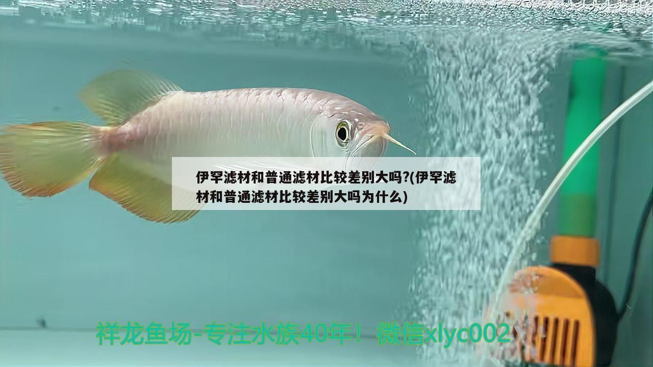 伊罕濾材和普通濾材比較差別大嗎?(伊罕濾材和普通濾材比較差別大嗎為什么)
