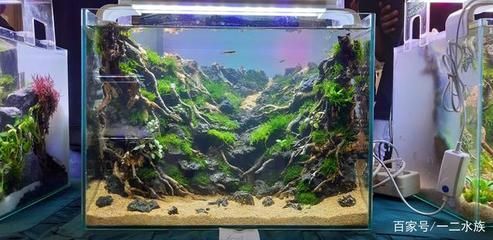 80魚缸造景：80魚缸造景的基本信息和步驟根據(jù)搜索結(jié)果整理信息