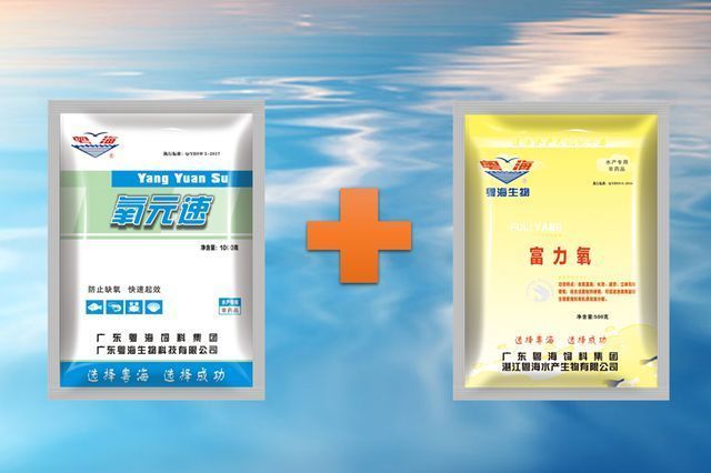 龍魚爛鰓蓋如何治療：龍魚爛鰓之殤與防治