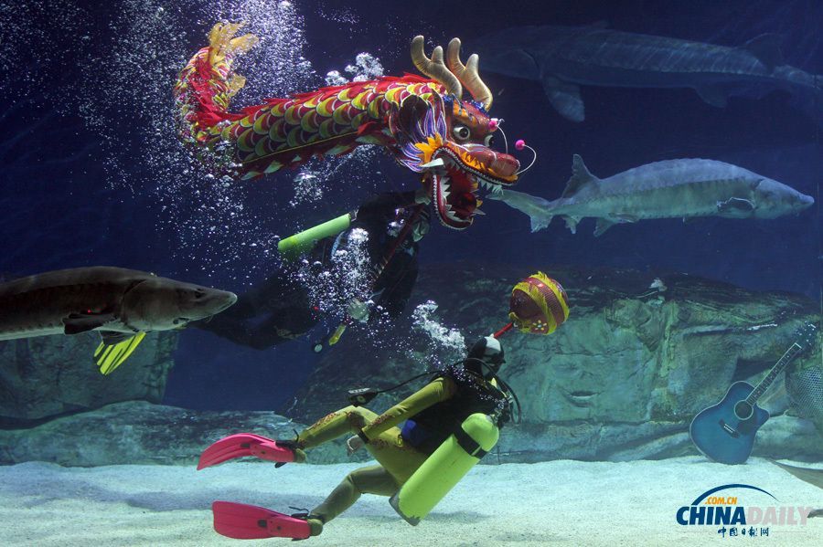 游戲 水族館 表演（關于游戲水族館表演的詳情）