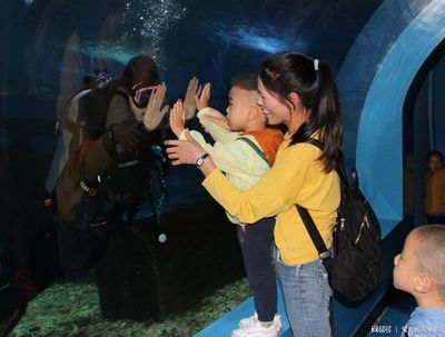 游戲 水族館 表演（關于游戲水族館表演的詳情）