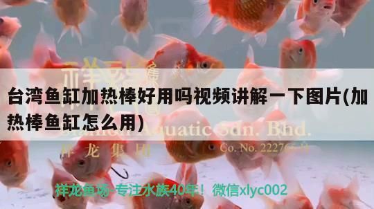 臺灣魚缸加熱棒好用嗎視頻講解一下圖片(加熱棒魚缸怎么用)