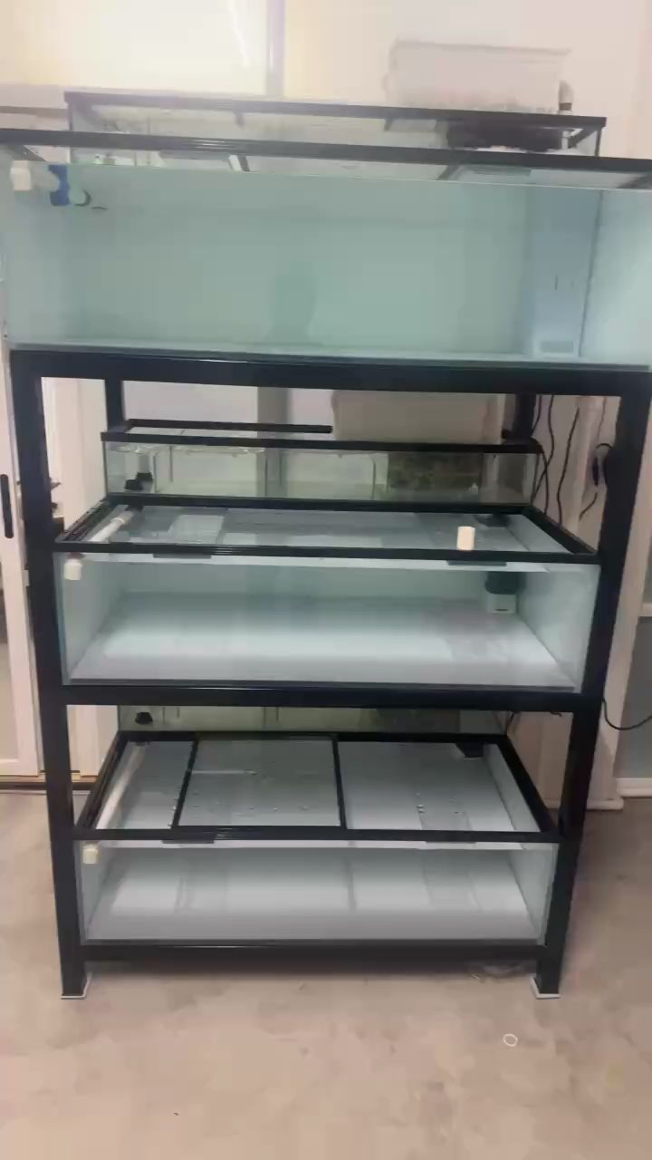 龍魚干蝦有營養嗎 組缸開始養水 龍魚論壇 組缸開始養水 組缸開始養水 龍魚論壇