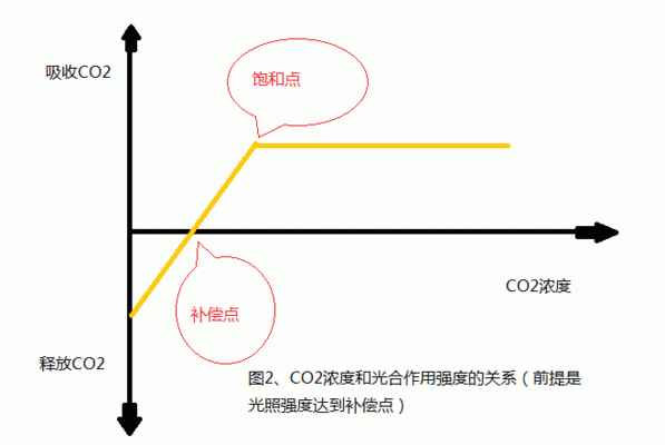 龍魚拉黃線屎怎么辦啊：龍魚拉黃線屎怎么辦？原因分析與解決之道