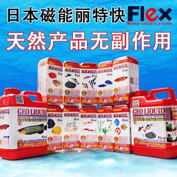 龍魚可以只喂飼料嗎視頻：龍魚喂養(yǎng)，飼料能否成為唯一選擇？