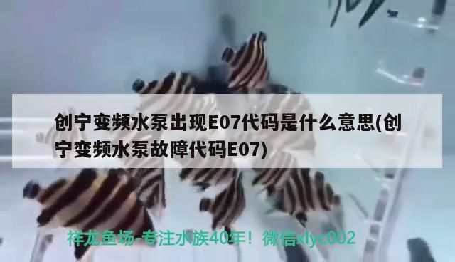 創寧變頻水泵出現E07代碼是什么意思(創寧變頻水泵故障代碼E07)
