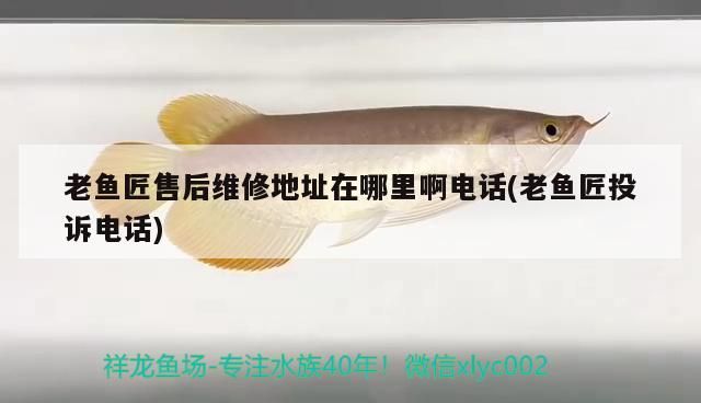 老魚匠售后維修地址在哪里啊電話(老魚匠投訴電話)