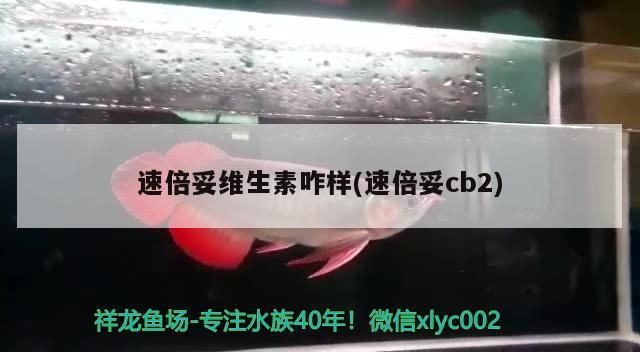 速倍妥維生素咋樣(速倍妥cb2) 速倍妥 第3張 速倍妥維生素咋樣(速倍妥cb2) 速倍妥維生素咋樣(速倍妥cb2) 速倍妥 第3張