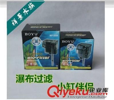 龍魚可以活多長時間啊：探尋龍魚的壽命奧秘，它們究竟可以活多長時間？