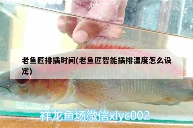 老魚匠排插時間(老魚匠智能插排溫度怎么設(shè)定)