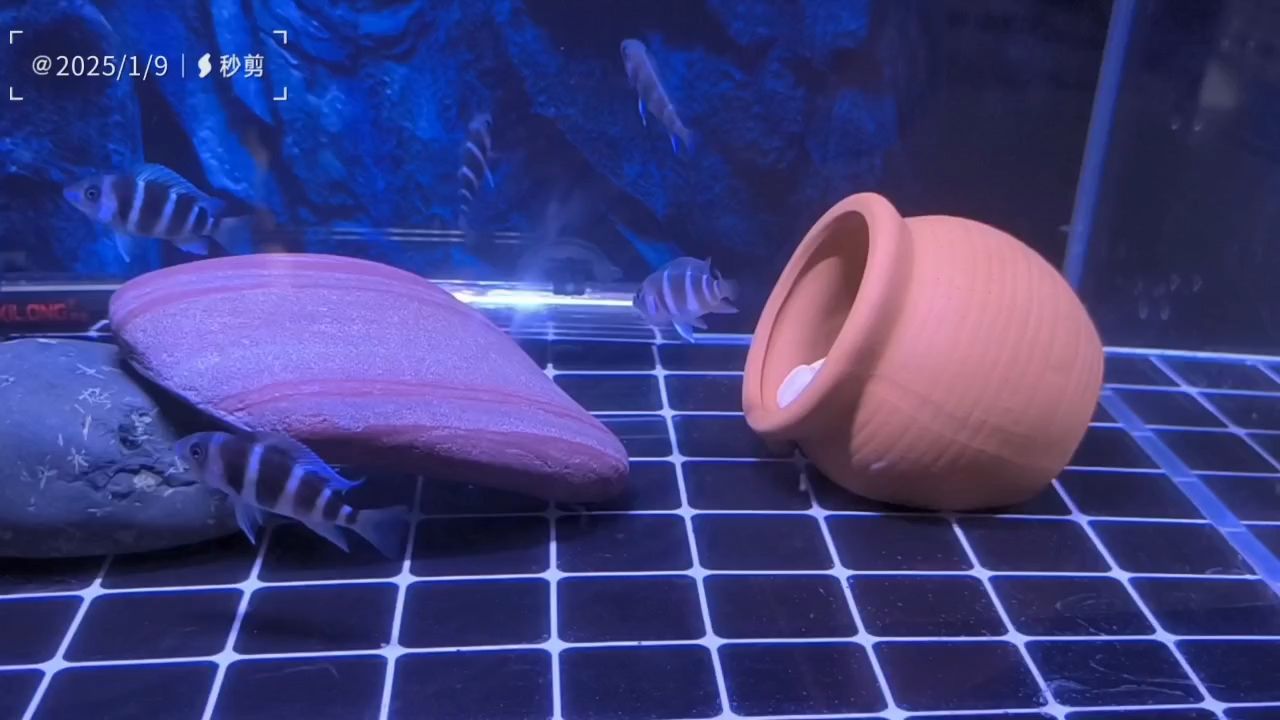 光陰似箭