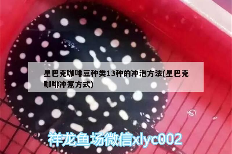 星巴克咖啡豆種類13種的沖泡方法(星巴克咖啡沖煮方式) 星巴克咖啡豆種類13種的沖泡方法(星巴克咖啡沖煮方式) 馬來西亞咖啡