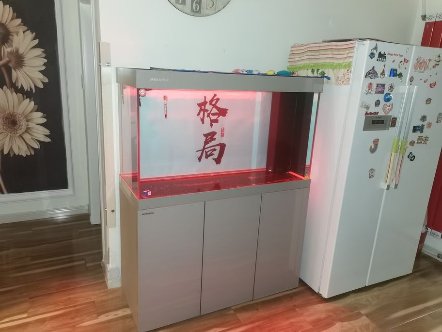 開缸養水中！