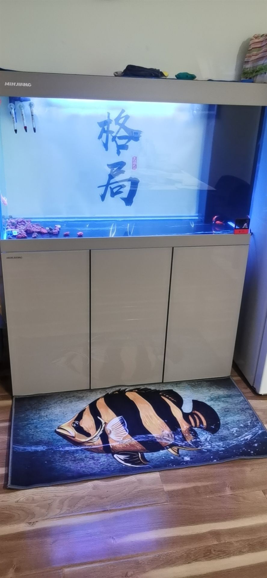 開缸養水中！