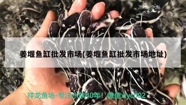 姜堰魚缸批發市場(姜堰魚缸批發市場地址)