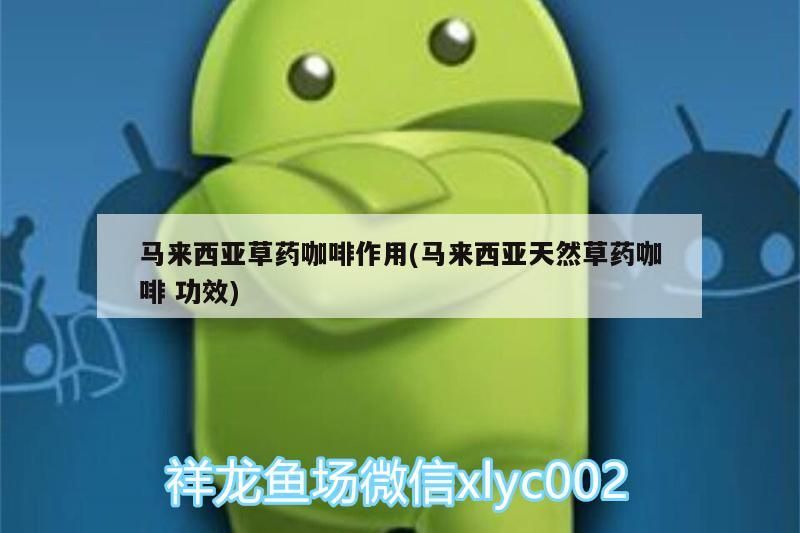 馬來西亞草藥咖啡作用(馬來西亞天然草藥咖啡功效)