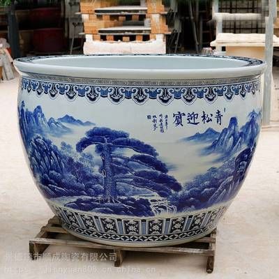 1米大魚(yú)缸養(yǎng)什么魚(yú)合適：1米大魚(yú)缸養(yǎng)魚(yú)的適宜種類(lèi)