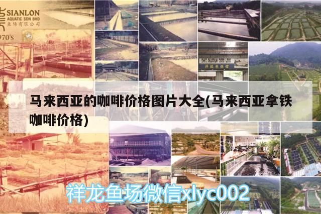 馬來西亞的咖啡價格圖片大全(馬來西亞拿鐵咖啡價格)