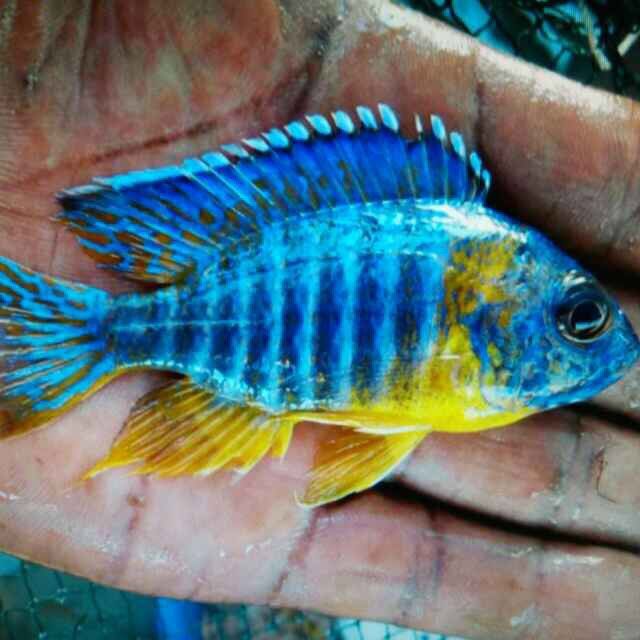 光特億6000水泵試用報告 光特億6000水泵試用報告 光特億 第5張