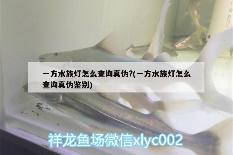 一方水族燈怎么查詢真偽?(一方水族燈怎么查詢真偽鑒別)
