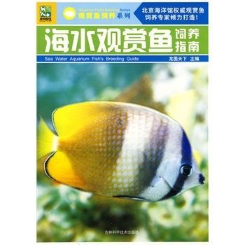 觀賞魚(yú)正確的養(yǎng)法視頻（觀賞魚(yú)的色彩科學(xué)你知道嗎觀賞魚(yú)的色彩科學(xué)你知道嗎）