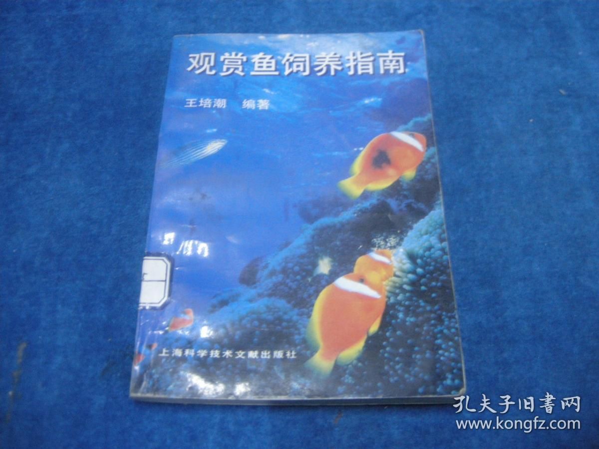 觀賞魚(yú)正確的養(yǎng)法視頻（觀賞魚(yú)的色彩科學(xué)你知道嗎觀賞魚(yú)的色彩科學(xué)你知道嗎）