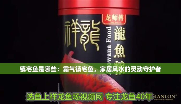 鎮宅最厲害三個魚（風水魚的最佳擺放位置） 鎮宅最厲害三個魚（風水魚的最佳擺放位置） 蝴蝶鯉百科 第1張