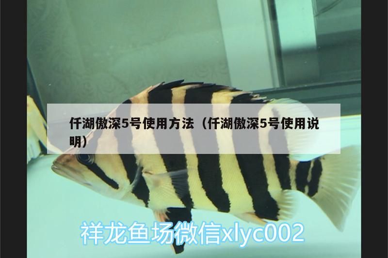 仟湖傲深5號(hào)使用方法（仟湖傲深5號(hào)使用說(shuō)明）