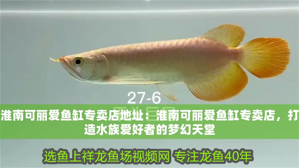 淮南可麗愛魚缸專賣店地址：淮南可麗愛魚缸專賣店，打造水族愛好者的夢幻天堂