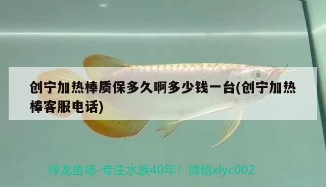 魚缸過濾器選購指南:自制魚缸過濾器魚缸上置過濾器對于養魚愛好者的必備知識 創寧加熱棒質保多久啊多少錢一臺(創寧加熱棒客服電話) 創寧水族 創寧加熱棒質保多久啊多少錢一臺(創寧加熱棒客服電話) 創寧加熱棒質保多久啊多少錢一臺(創寧加熱棒客服電話) 創寧水族