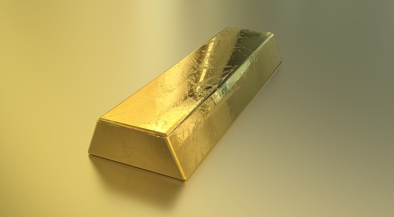 黃金貓魚為什么那么貴呢圖片(金魚很貴嗎)