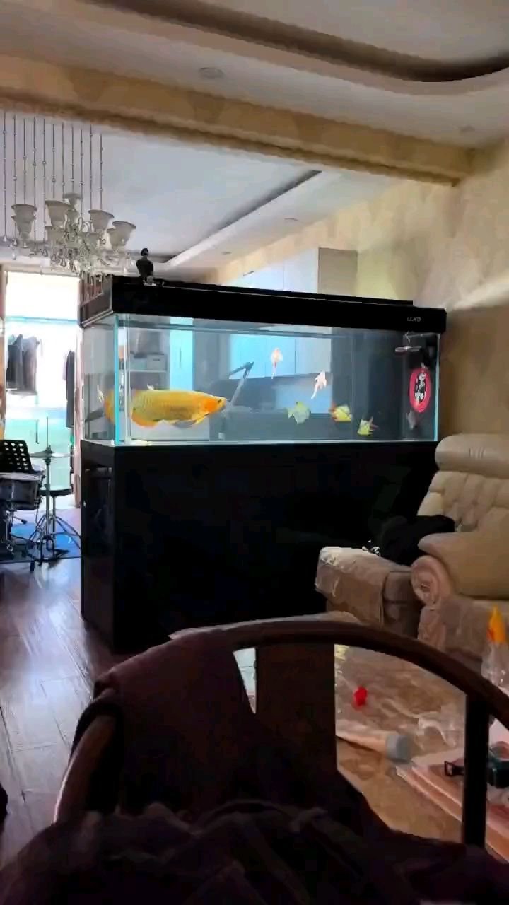 好久沒發