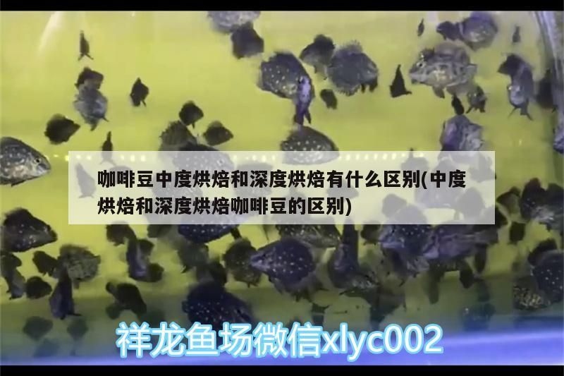 咖啡豆中度烘焙和深度烘焙有什么區別(中度烘焙和深度烘焙咖啡豆的區別)